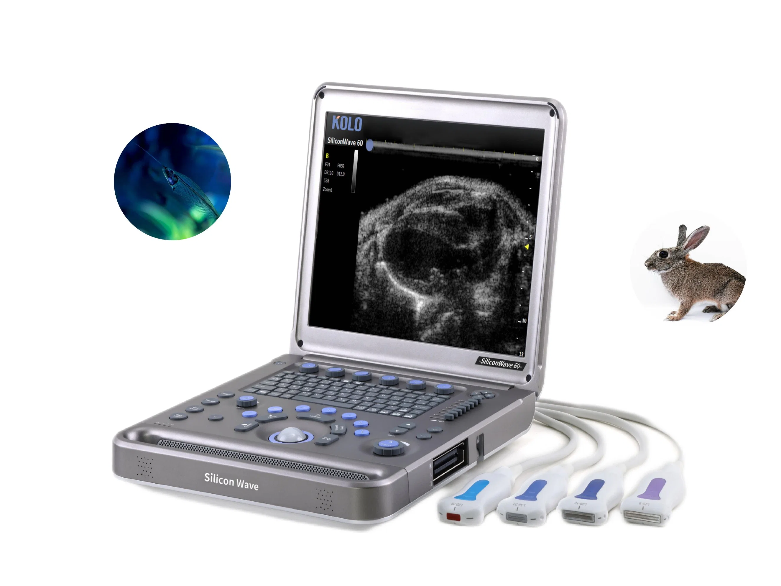 Portable Ultrasound Machine for Laboratory Animal Research Color Mode