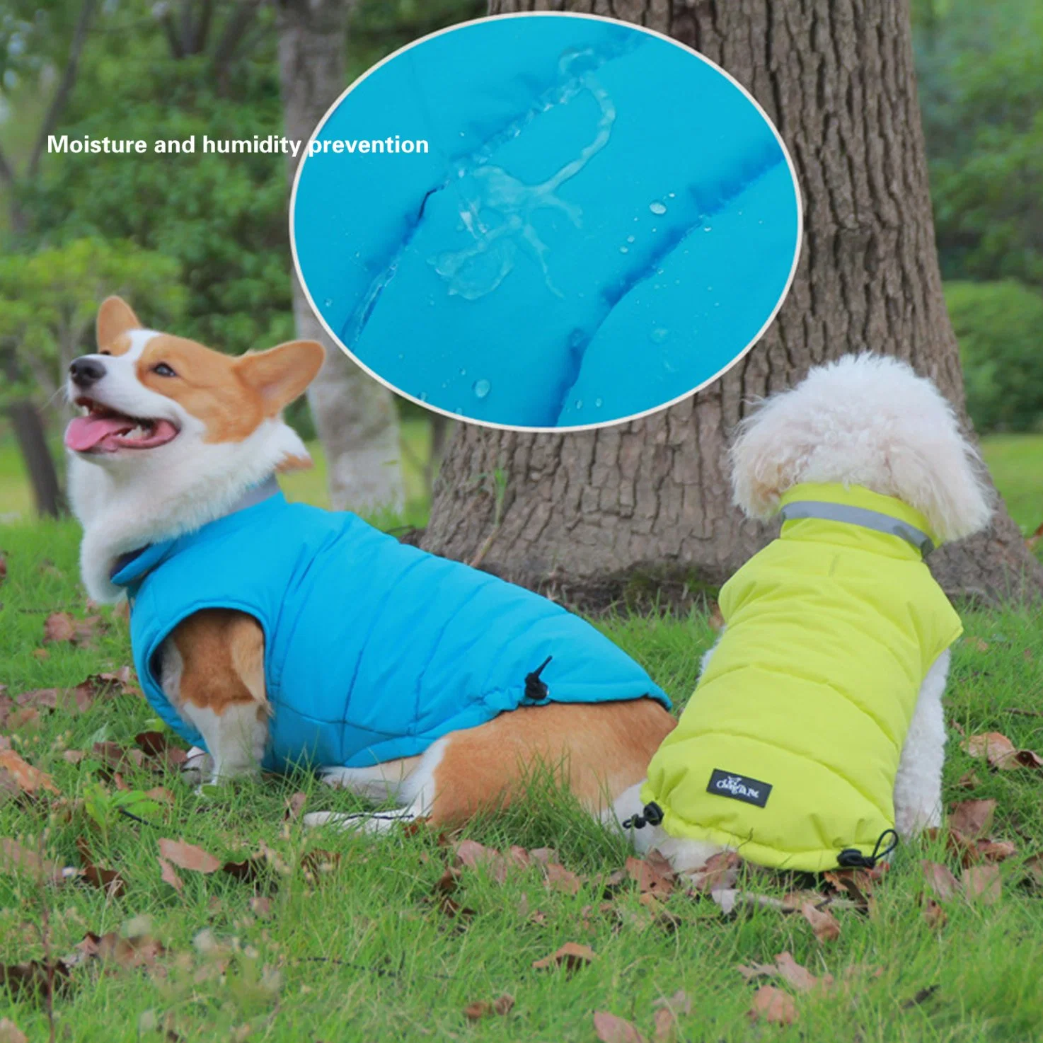 Winter Dog Coats Dog Apparel for Cold Weather