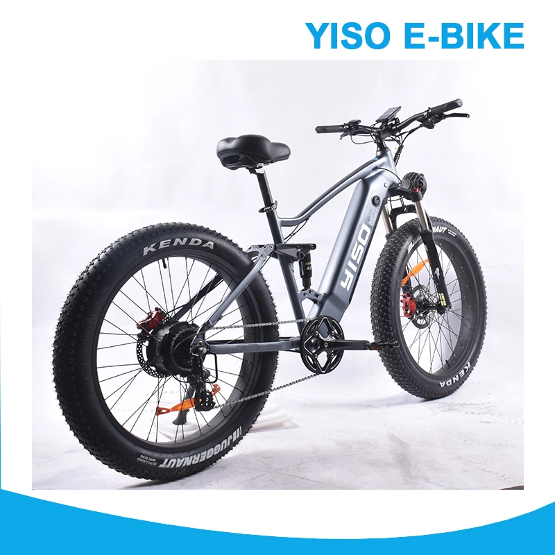 Full Suspention Fat Tire Wheel Battery Ebike with Hi Power 750W