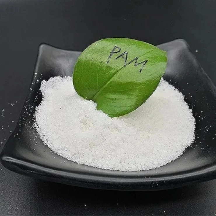 Polyacrylamide for Water Treatment Flocculant Chemical CAS 9003-05-8 PAM with Original Factory Price