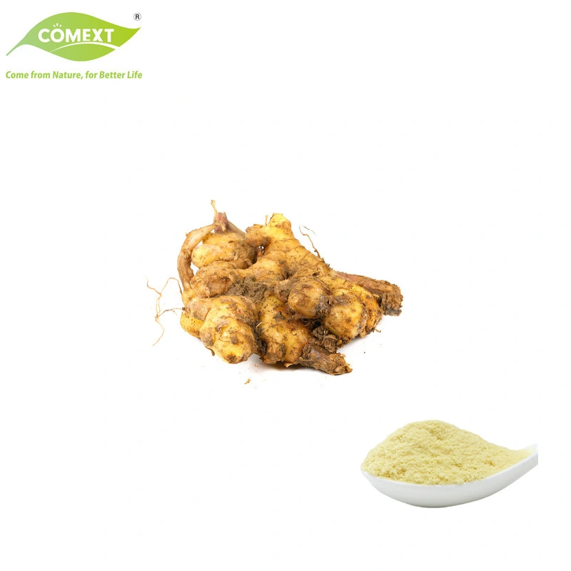 Free Sample Free Sample Zingiber Officinale Extract Gingerols Ginger Extract for Food Additives