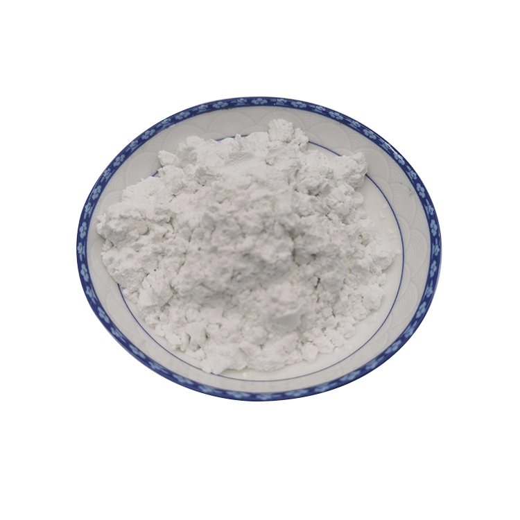 Diatomite in Powder/ Kieselguhr/Bergmeal /Diatomaceous Earth Celatom for Filler