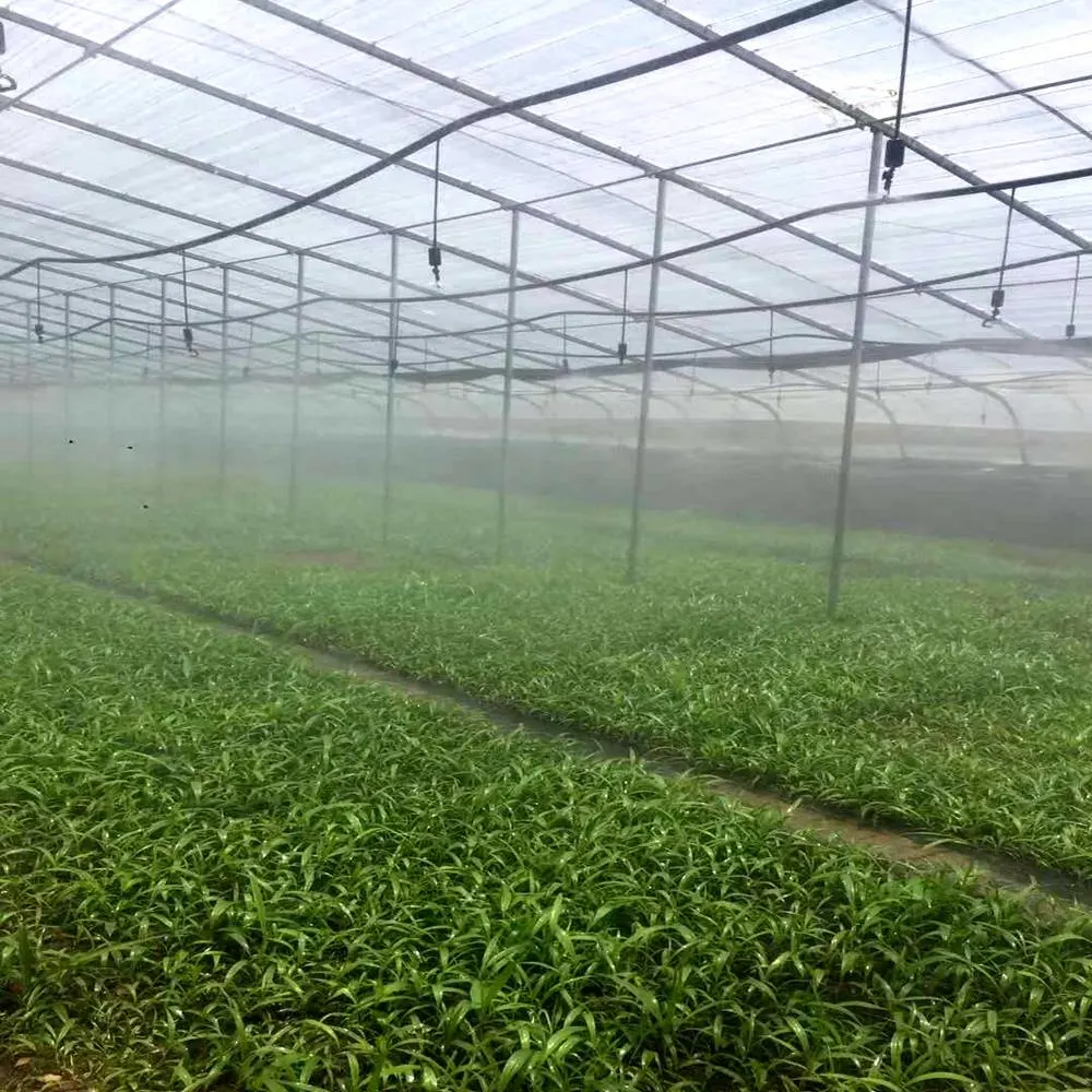 Láminas de policarbonato cubiertas de cristal de la casa verde de pepino tomate Verduras Flor de la casa productos para el jardín Hidroponía sistemas de cultivo