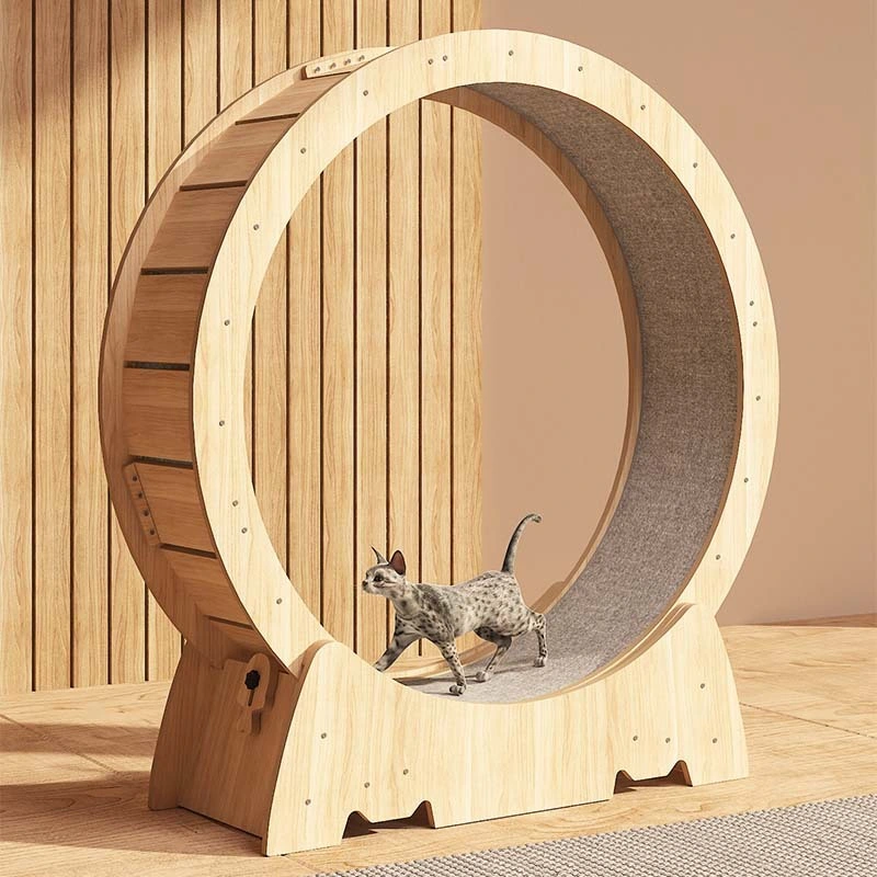 Cute Cat Furniture Pet Toys Cat Weight Loss Devices