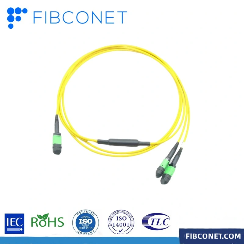 FTTH 2.0/3.0mm MPO-MPO Multimode Om1/Om2/Om3/Om4/Om5 Optic Fiber Optical Jumper Cable