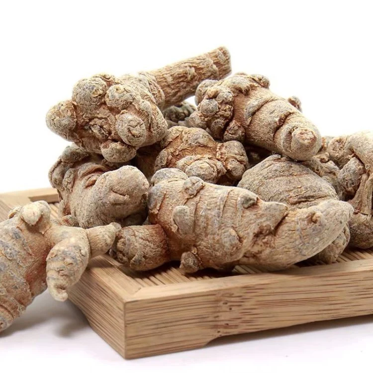 Panax Notoginseng The High Quality Chinese Natural Herbal Plants San Qi Traditional Chinese Herbal Medicine