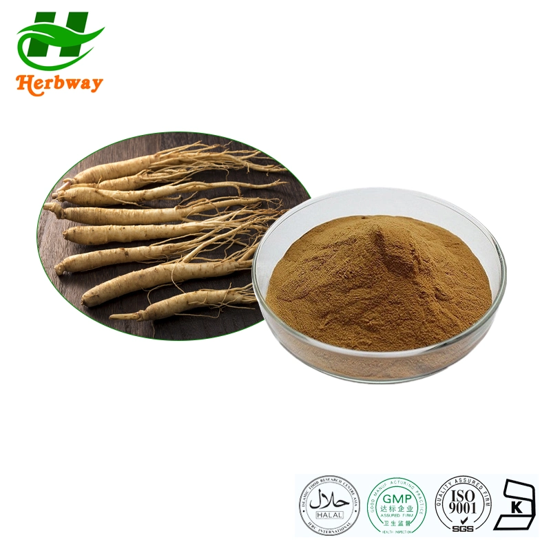 Herbway Adenophora Tetraphylla Extract Ladybell Root Extract Powder Adenophora P. E Adenophora Extract