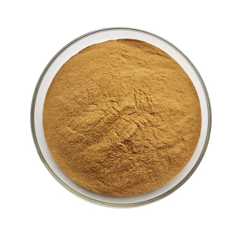 Natural Plant Extract Extract Ratio 6: 1 Herb Herbal Roman Chamomile Extract