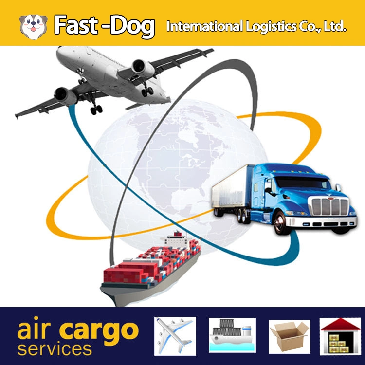 Freight Forwarder to USA/UK/Italy/France/Nl /Germany Fba Amazon by Air Freight Shipping From China DDP Door to Door Service