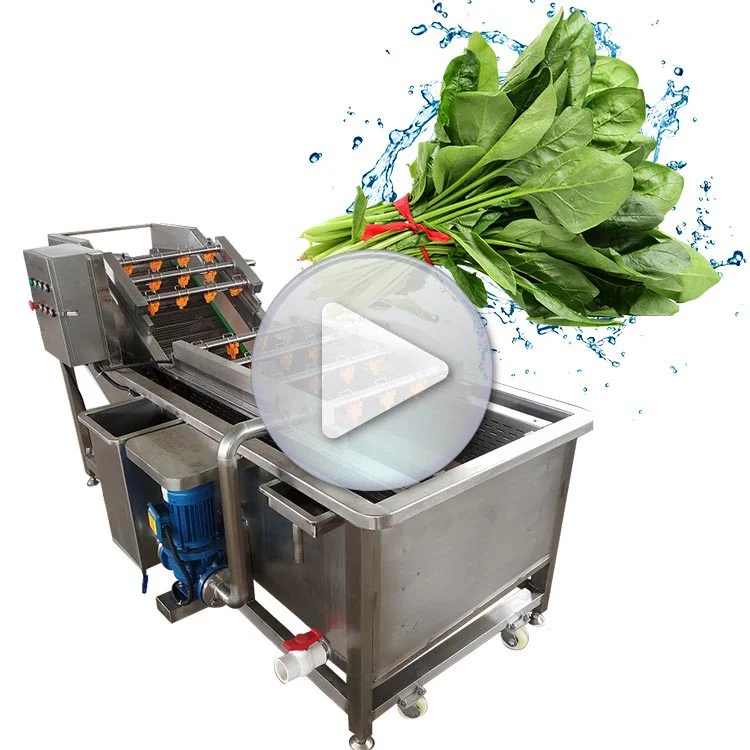 Industrial Air Bubble Fruit Washing Machine for Fruit and Vegetables