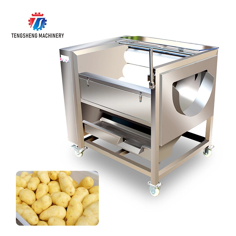 Sealed Closed Potato Carrot Hair Roller High Pressure Spray Cleaning Peeling Machine Ts-M300