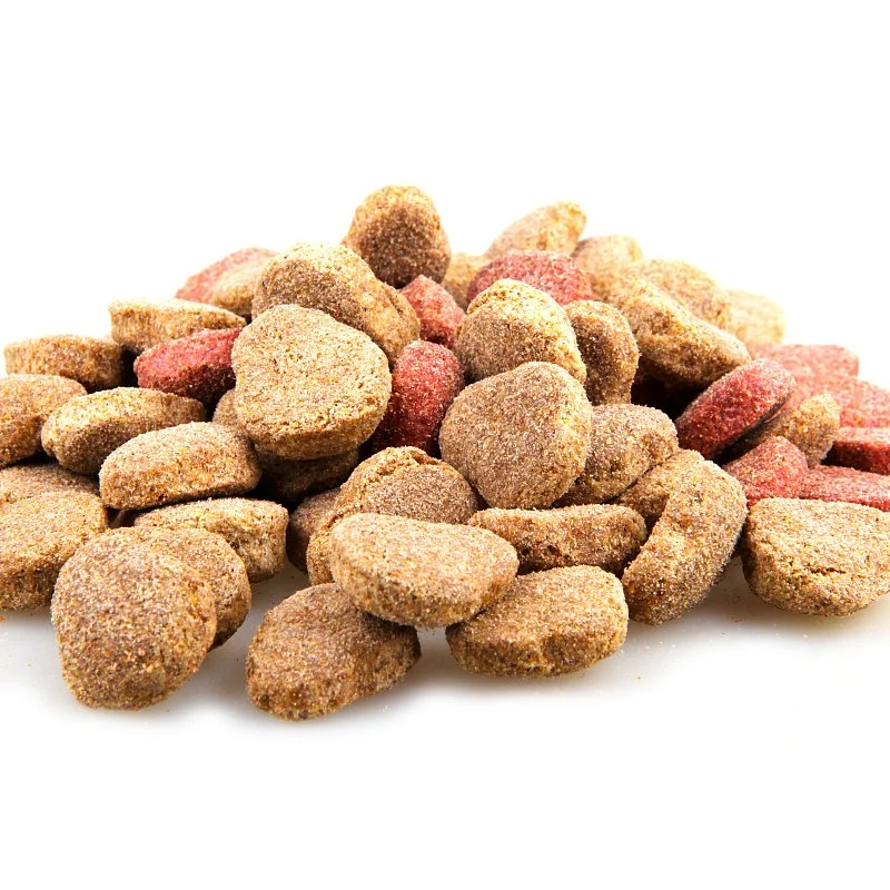 Продукты для домашних животных с высоким содержанием белка в куриных и рисовых собаках