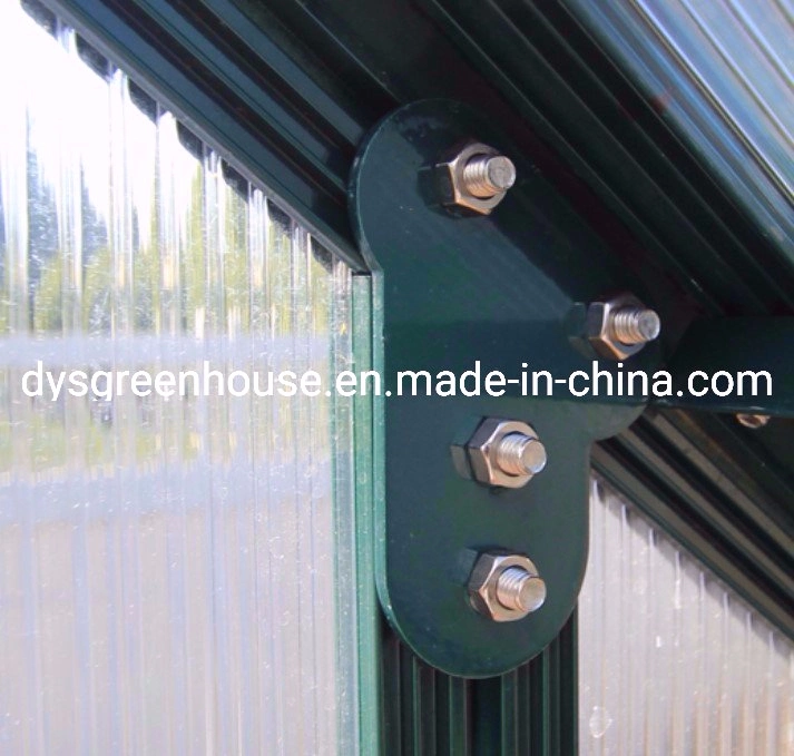 Solar Greenhouse Easy Instal DIY 4mm Pet Plastic Panel Aluminum Frame Prefab Greenhouse (RDGA0812-6mm)