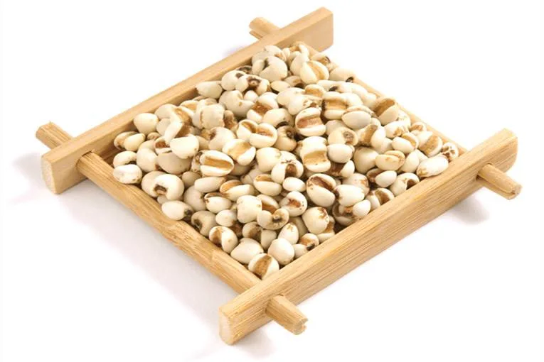 Coix Seed Herbal Medicine Herbs Wholesale/Supplier Dried Coix Semen Coicis Seed