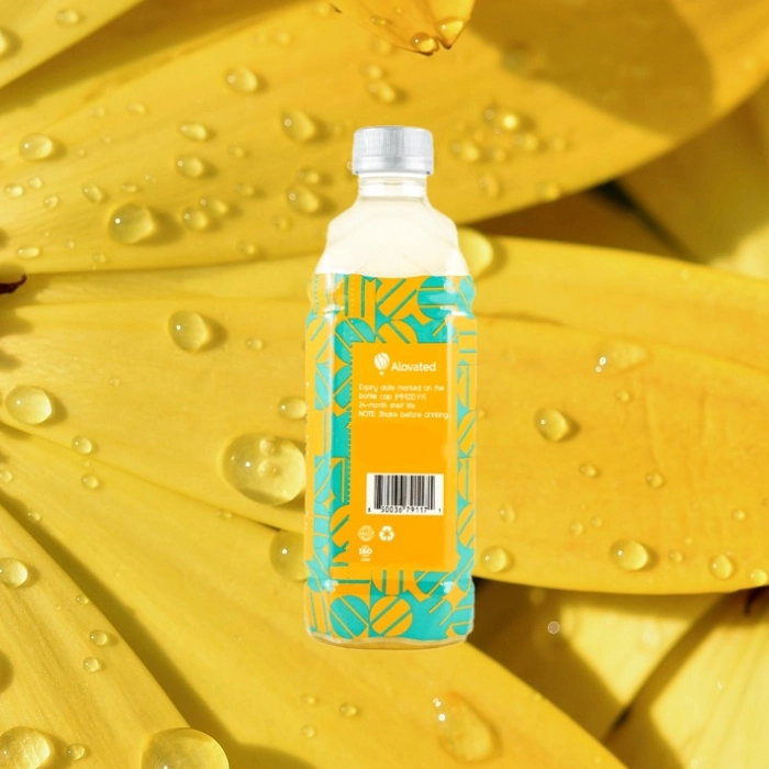 Alta concentración de Mango Real Popular 1L el jugo de frutas enlatadas Halal jugo fresco