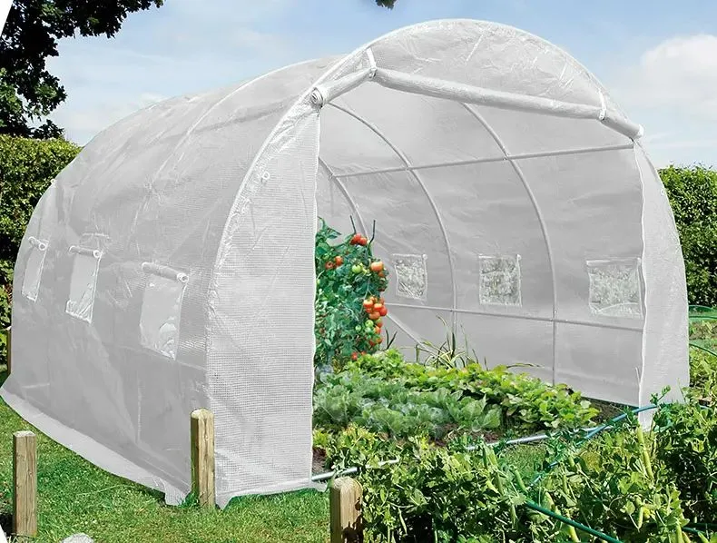 Custom Garden Backyard film plastique petit Polytunnel Walk dans serre Pour fleurs/pastèque