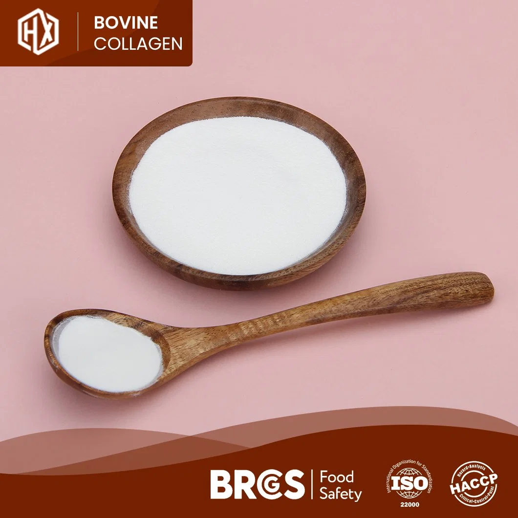 Haoxiang High Quality Bovine Type II Collagen Powder Quality Hydrolyzed Bovine Hide Collagen Peptides China Factory Top Grade Collagen Peptide Type 2 Tablets