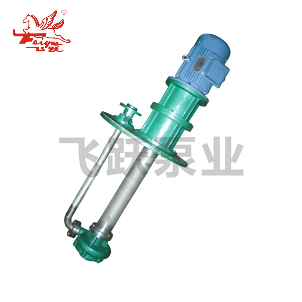 Fy Type Corrosive Vertical Submerged Pump, 316L Water Pump, Cast Iron and Plastic