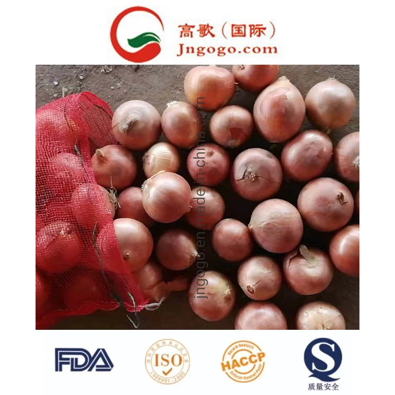 Chinese Fresh Good Quality Yellow Onion