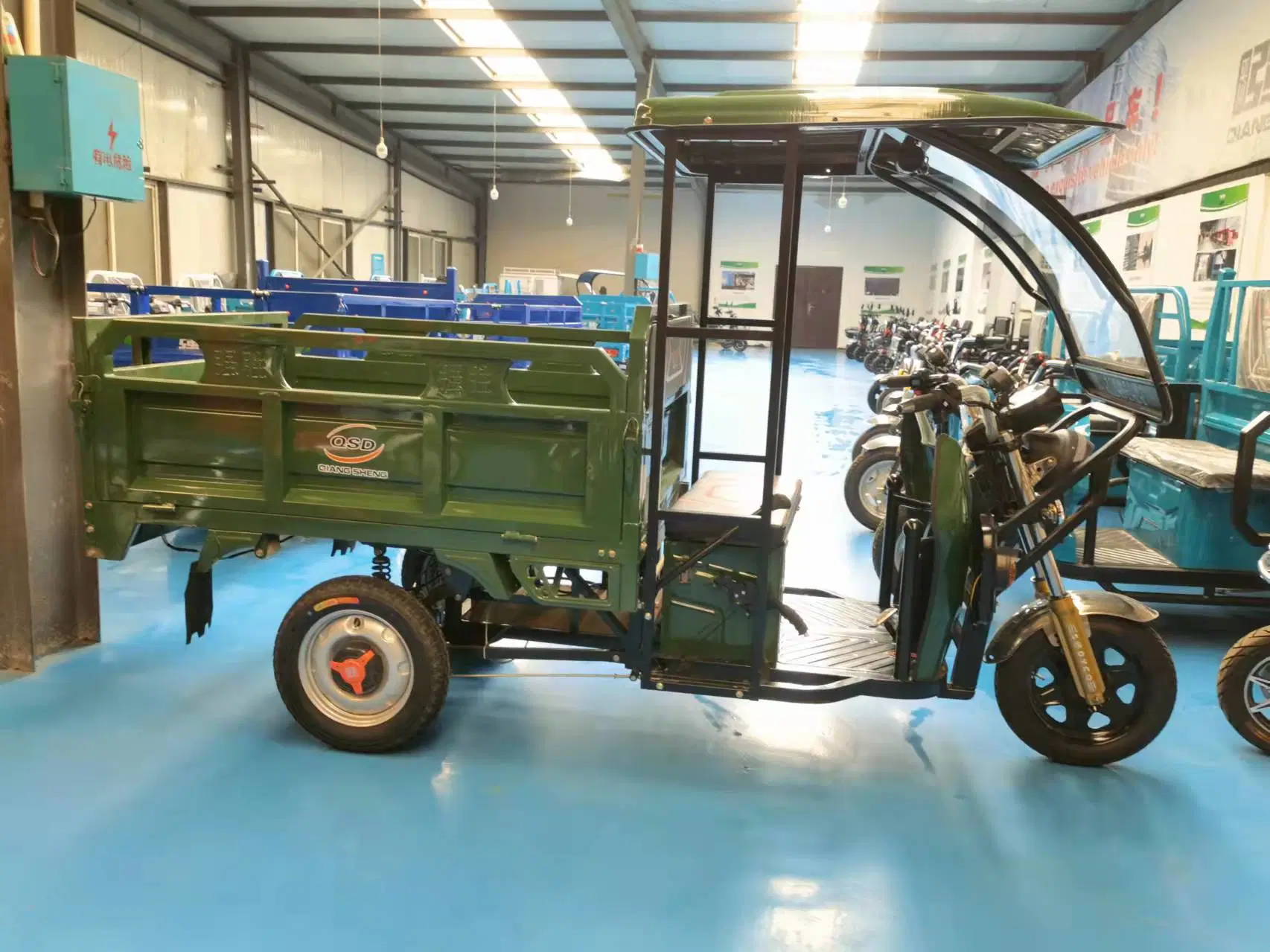 Qsd EV Triciclo De Carga Triciclos Electricos Used Cargo Tricycles Chino Rickshaw E Loader