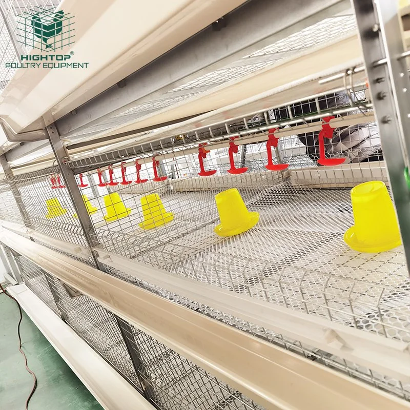 Broiler Farming Automatic Birds H Type Battery Chicken Cage System