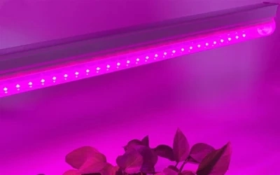 Crecimiento vertical de la sembradora de efecto invernadero hidropónico sistema LED luces crecer