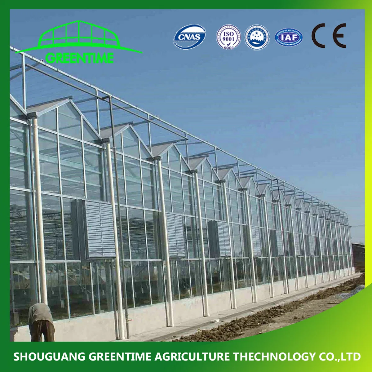 Best Quality Venlo Type Galvanized Steel Structure Glass Greenhouse with Heating System for Hydroponics/Strawberry/Vegetables/Flowers/Tomato/Pepper