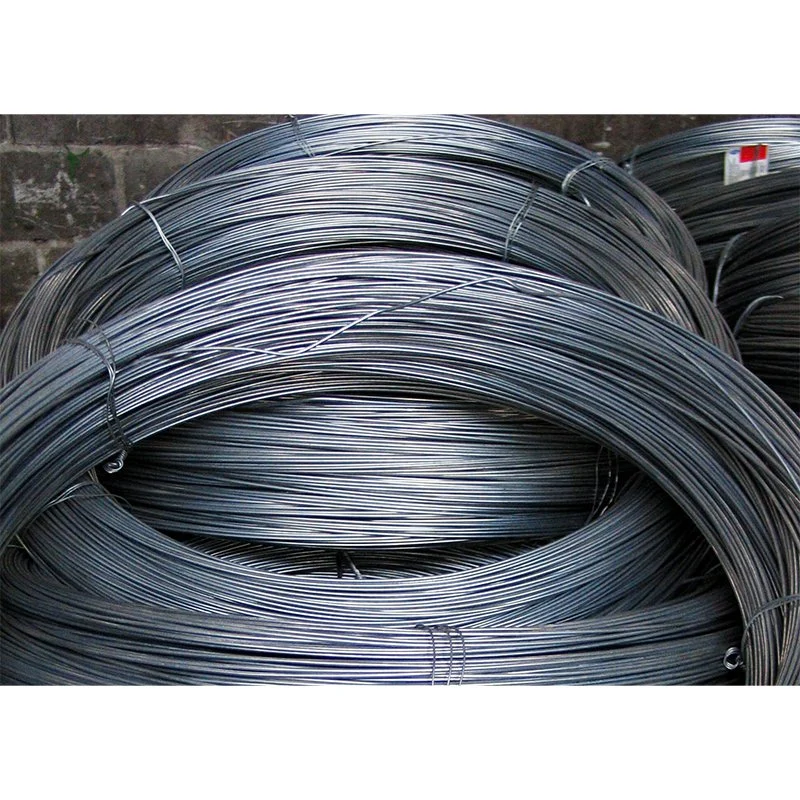 Q235 Q195 77b 82b Hot Rolled Steel Wire Rod in Coils 5.5mm 6.5mm Low Carbon Steel Ms Wire Rods