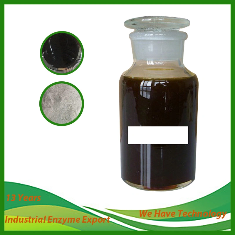 Neutral Enzyme Liquid and Powder, Industrial Enzyme for Textile