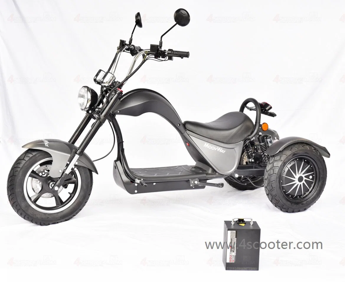 Alta calidad Adulto EEC Tricycles 3 rueda doble Motor Motor Scooter Patineta Eléctrica