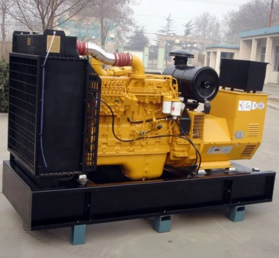 Gas Generator: 80kVA/88kw Farm, Straw Incineration, Pile Buried Biogas Generator, Natural Gas Multi-Source Applicable