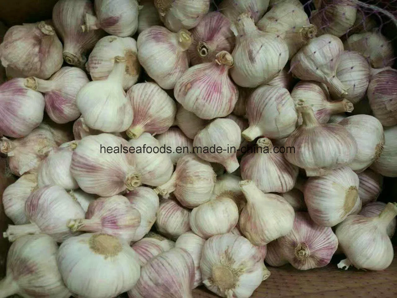 Chinese Fresh Pure White Garlic 5.5cm+