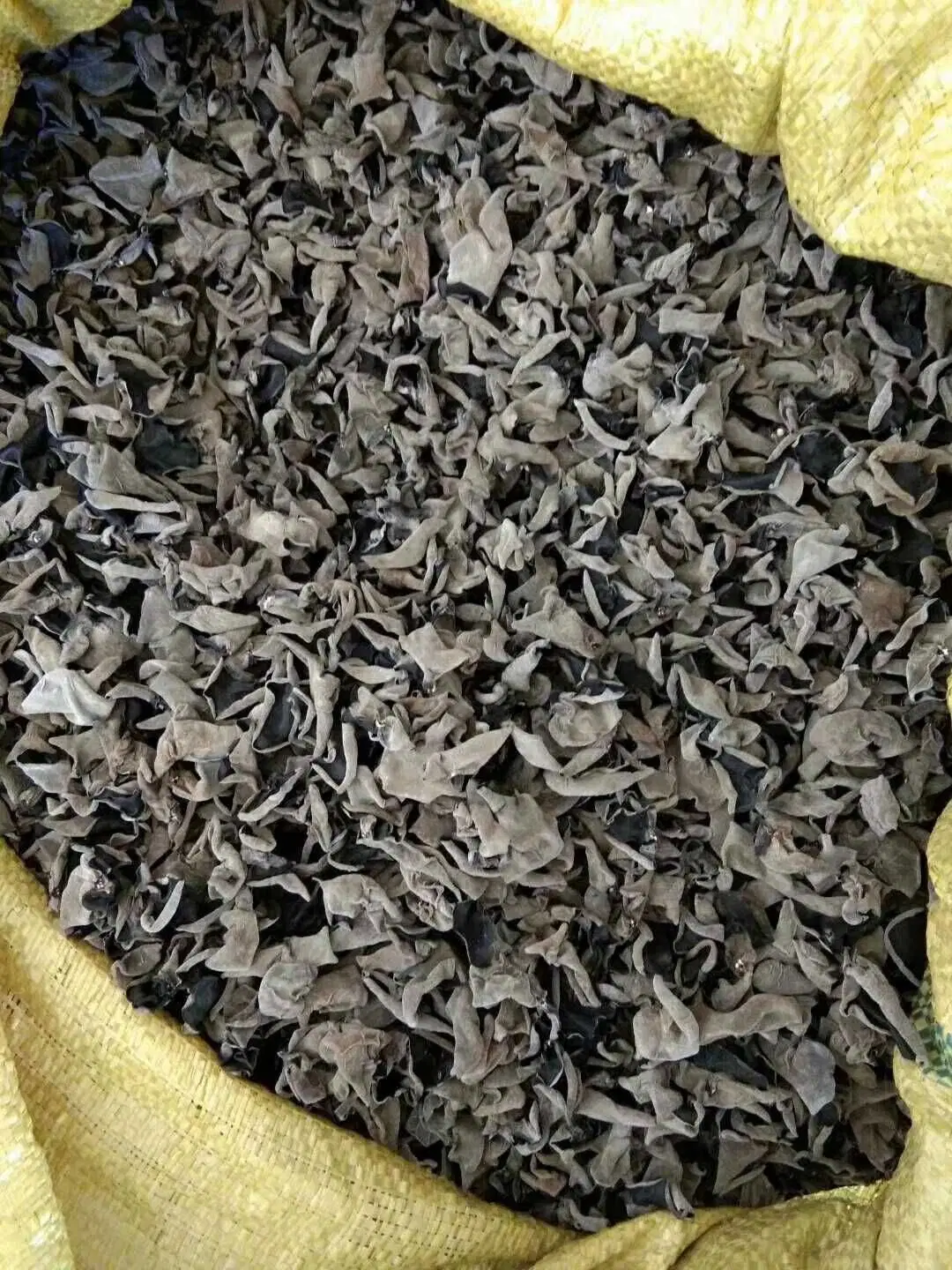 Good Edible Dried Black Fungus with Healthy Benefits