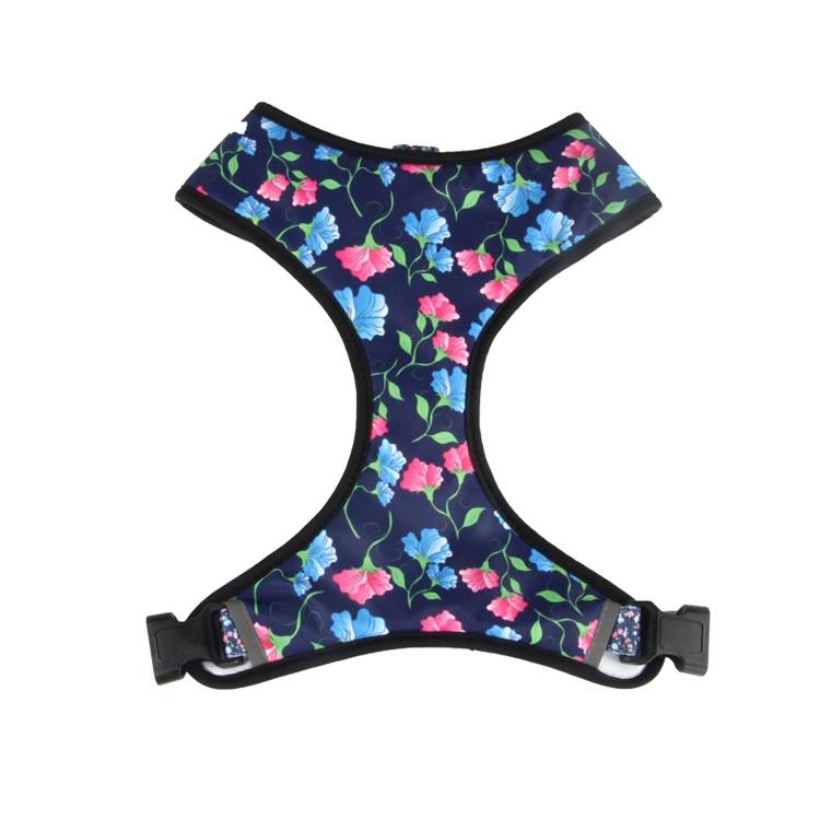 Cute 2 in 1 Reversible Dog Harness with Pet Collar Leash