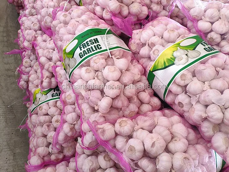 2022 New Crop Top Quality 4.5cm, 5.0cm, 5.5cm, 6.0cm Chinese White Fresh Garlic From Jining Rich Farmer