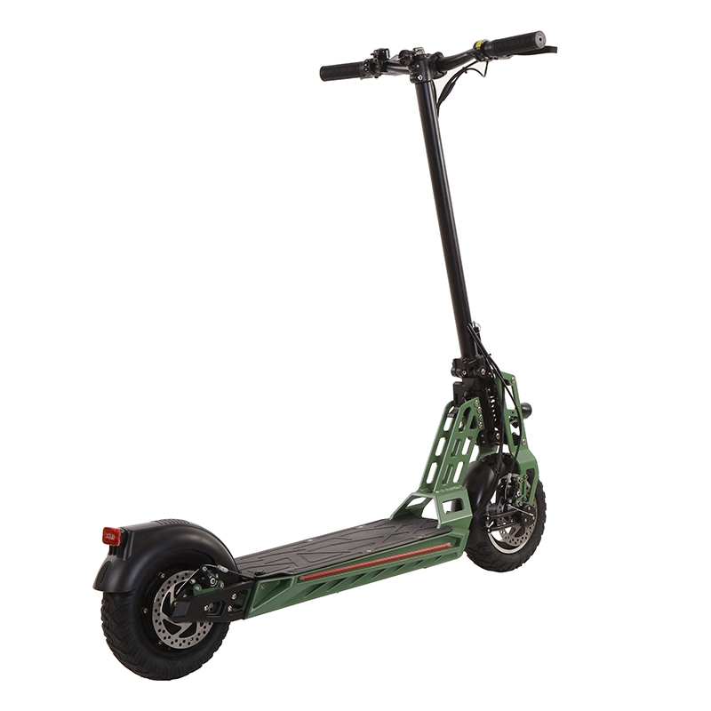48V 500W Elektro-Fahrrad-Roller mit Lithium-Batterie
