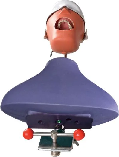 Replaceable Dental Oral Manikin for Training&Practicing Implant Scaling Structure