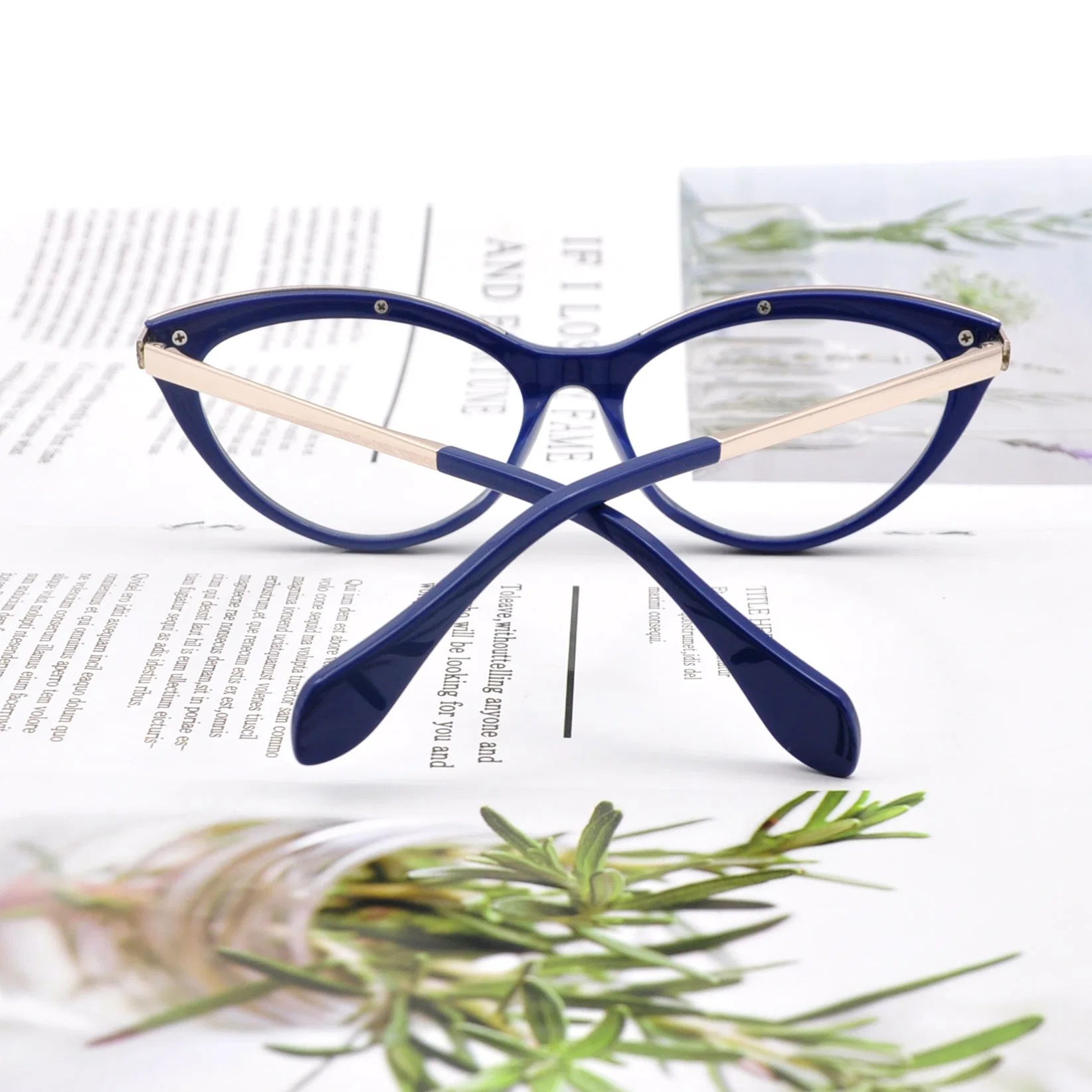 2021 Higo Acetate de alta calidad Eyeglasses Marcos Modelo de Moda