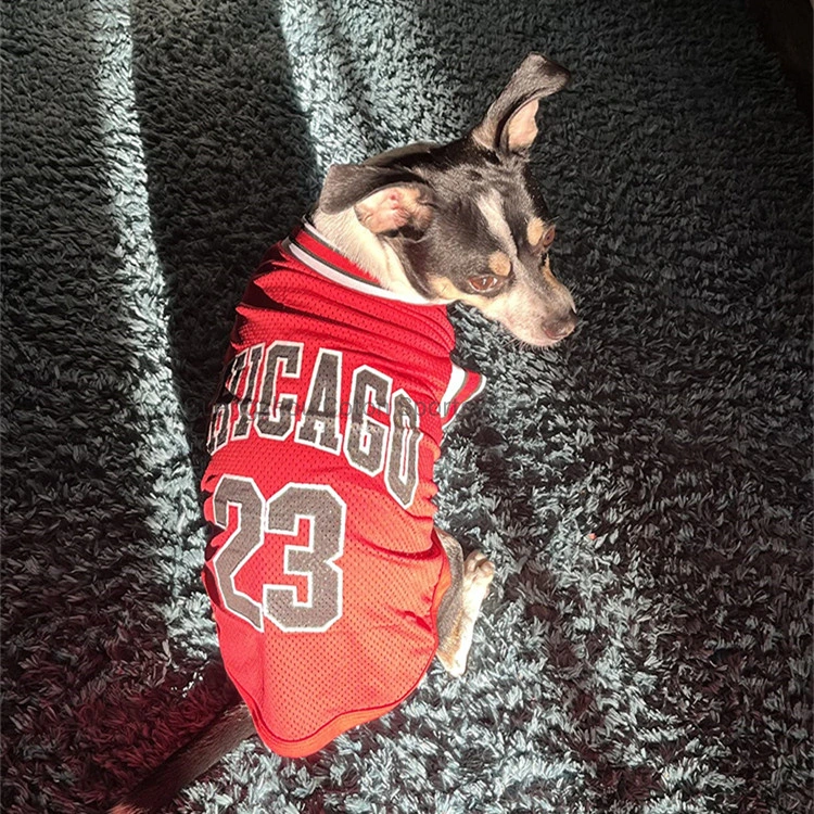 2023 Instagran Hottest Top Quality Latest Design Summer Casual Fashion Colorful Apparel Pet Dog Basketball Jersey Luxury Clothes Pet Apparel