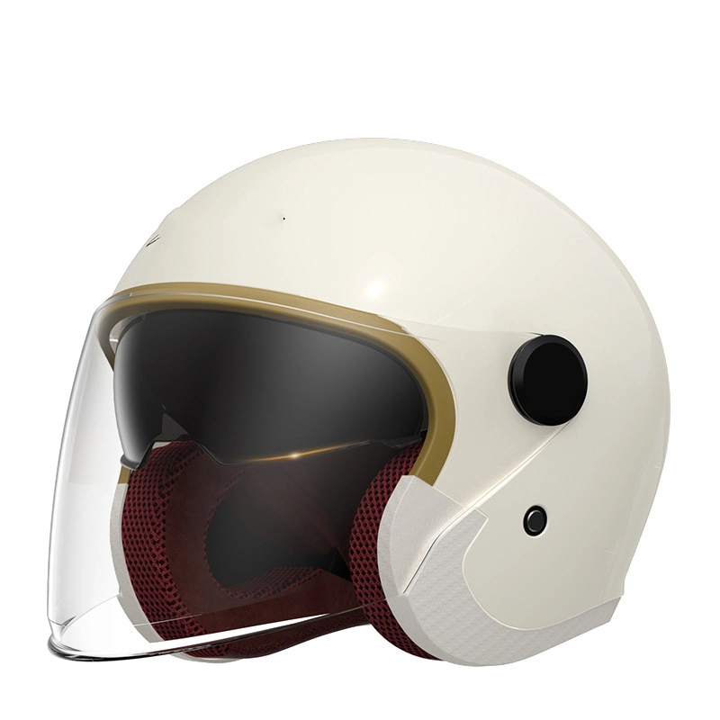 Pour les enfants Fullface Snell Racing plein de CHIENS Stickers Design casque de moto de communication de la moitié de Chrome face