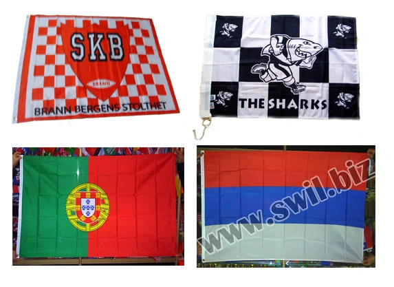 Exhibition Fashion Polyester-Fabric Screen Printing National Flag Banner