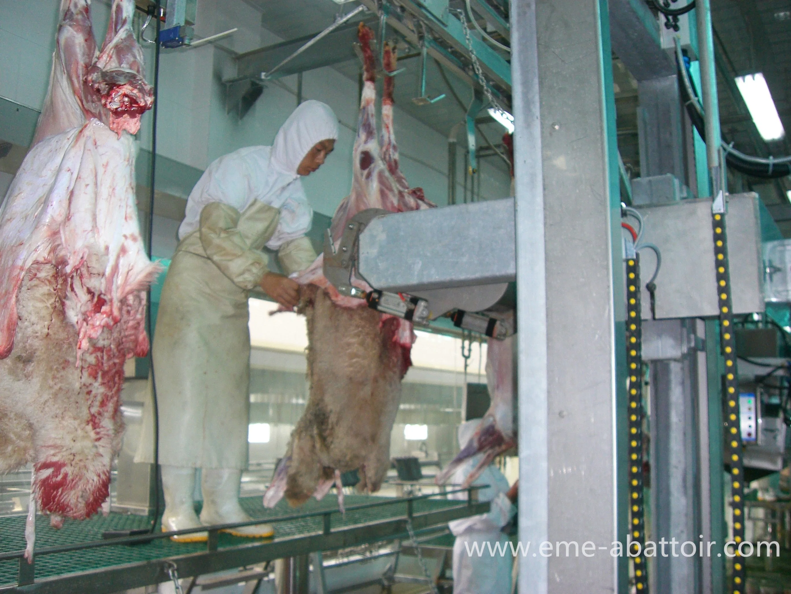 Proveedor profesional de piel Puladora de ovejas/cabras matando Abattoir Equipo para el matadero Máquina