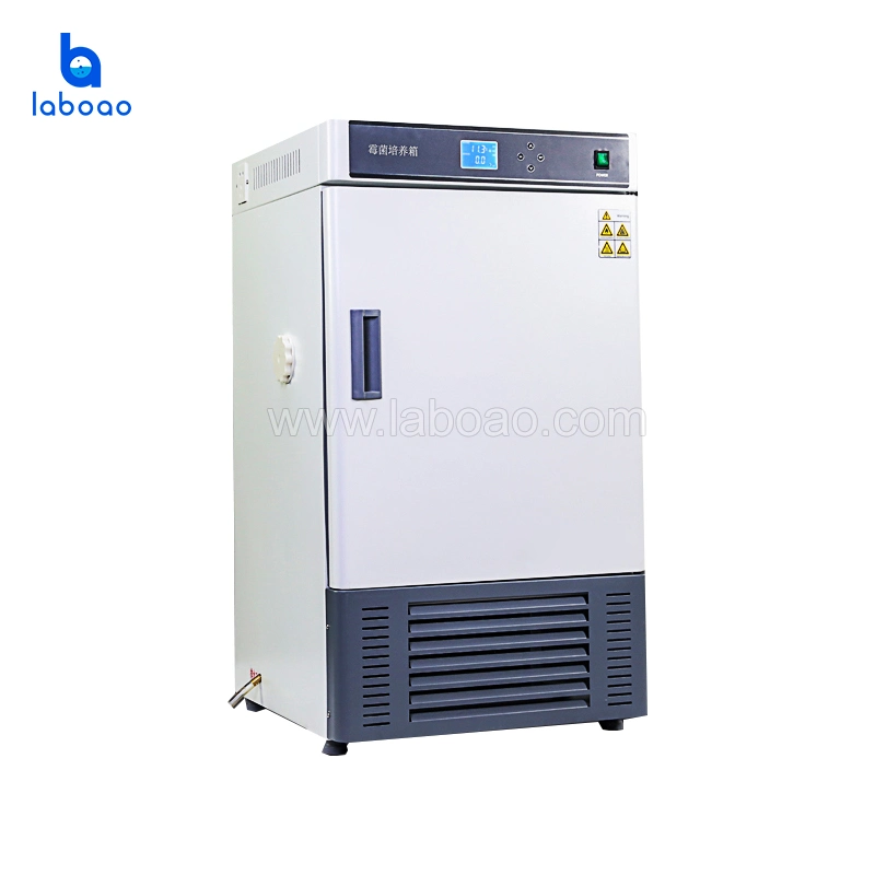 Laboao Mold Incubator for Environmental Protection and Health