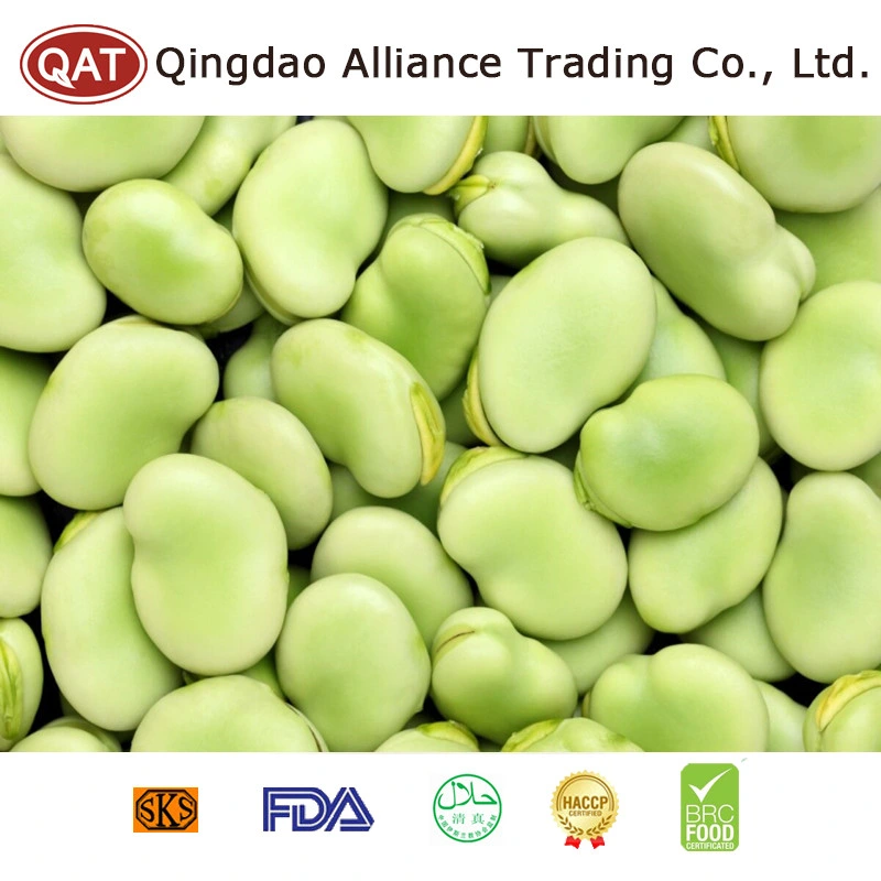 Halal Brc ISO New Crop Frozen IQF Green Color Broad Beans with Factory Price Broad Beans Kernels in Bulk Carton Package Retail Packing
