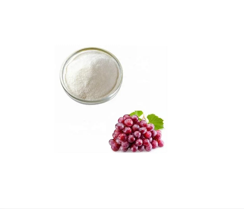 98% Trans-Resveratrol polvo Resveratrol cápsulas Polygonum cuspidatum Extracto raíz no CAS 501-36-0