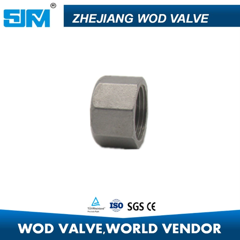 Hex Cap Pipe Fitting Coupling