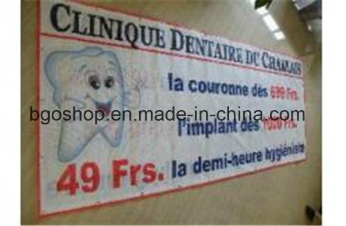 1000X1000 12X12 290g Shopping Mall Advertisement Digital Printing PVC Mesh Banner