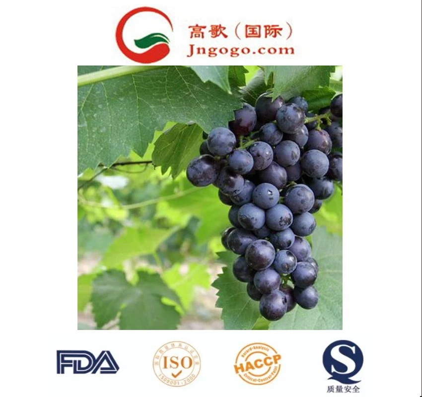 Fresh Pipless Summer Black Grapes Fruit