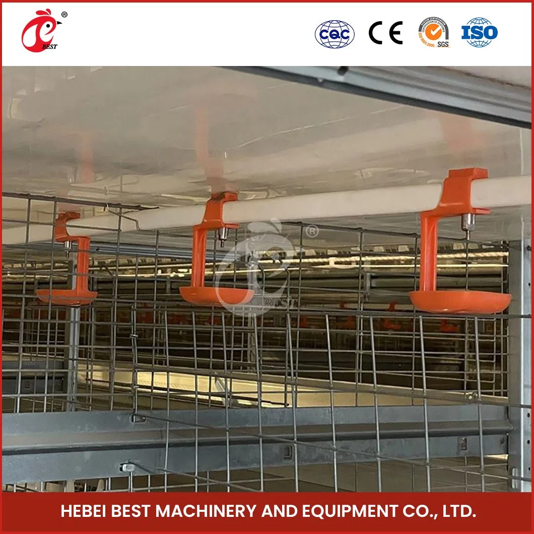 Bestchickencage China Chicken Cage Manure Cleaning Factory a Frame Automatic Broiler Cages Custom Durable and Easily Clean Commercial Farmining Chicken Cages