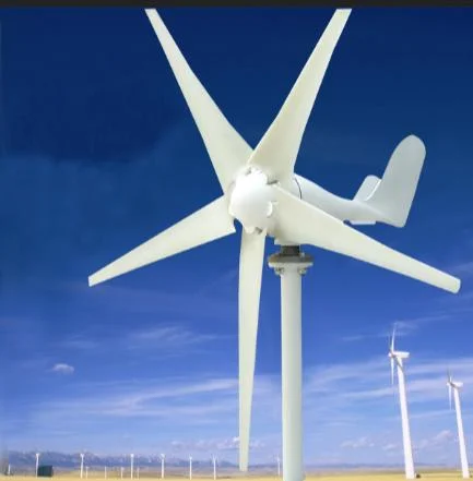 1000W 1kw Pastoral Area Wind Turbine Generator